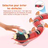 SnakeFlex™ | Amusement infini pour votre chat