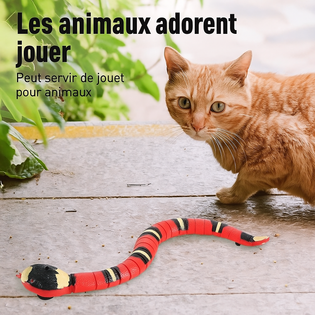 SnakeFlex™ | Amusement infini pour votre chat