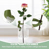 PlantPal™ | Soutien solide pour vos plantes - 6 Pièces - Madeluxe