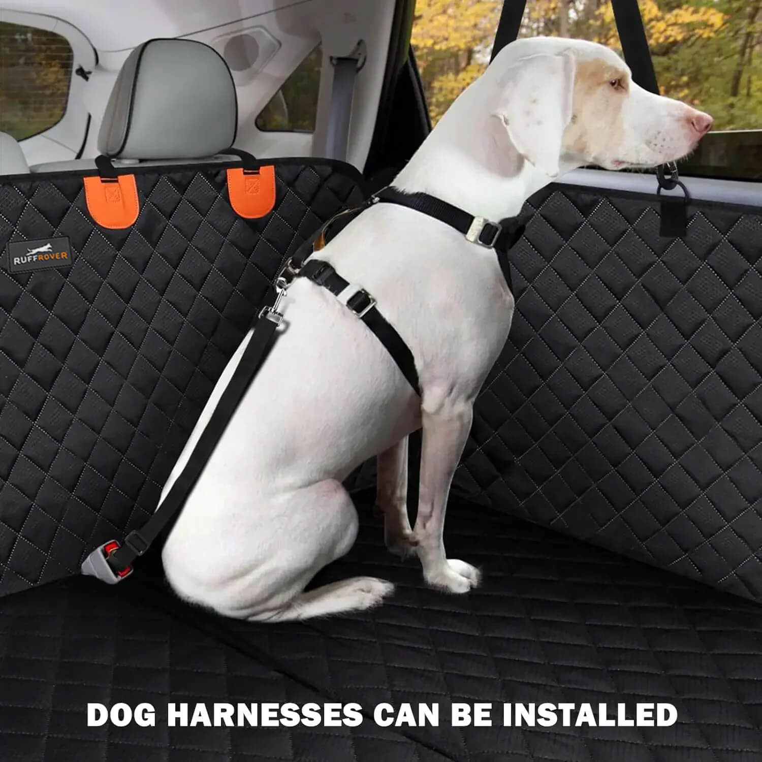 DogBench™ | Voyagez sereinement avec votre chien - Madeluxe