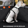DogBench™ | Voyagez sereinement avec votre chien - Madeluxe
