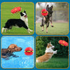 BalleChien™ | Amusement sans fin pour votre chien - Madeluxe