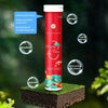 EcoRenaissance™ | Redonnez vie à vos plantes - 