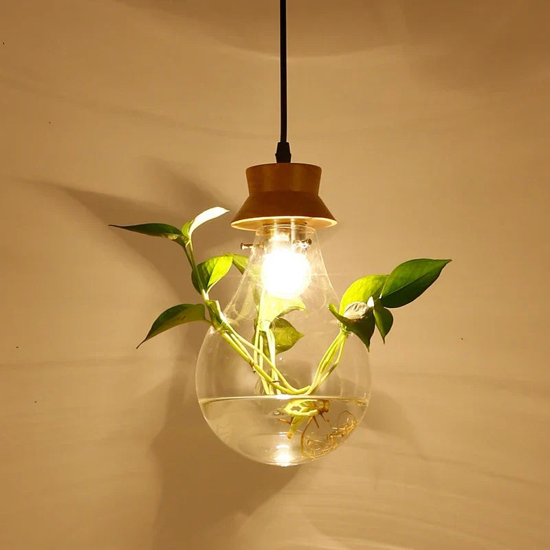 EcoSphere - Lampes en verre pour plantes - Illuminez votre intérieur - Design unique et naturel