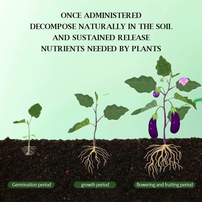 EcoRenaissance™ | Redonnez vie à vos plantes - 