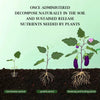 EcoRenaissance™ | Redonnez vie à vos plantes - 