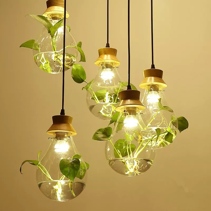 EcoSphere - Lampes en verre pour plantes - Illuminez votre intérieur - Design unique et naturel