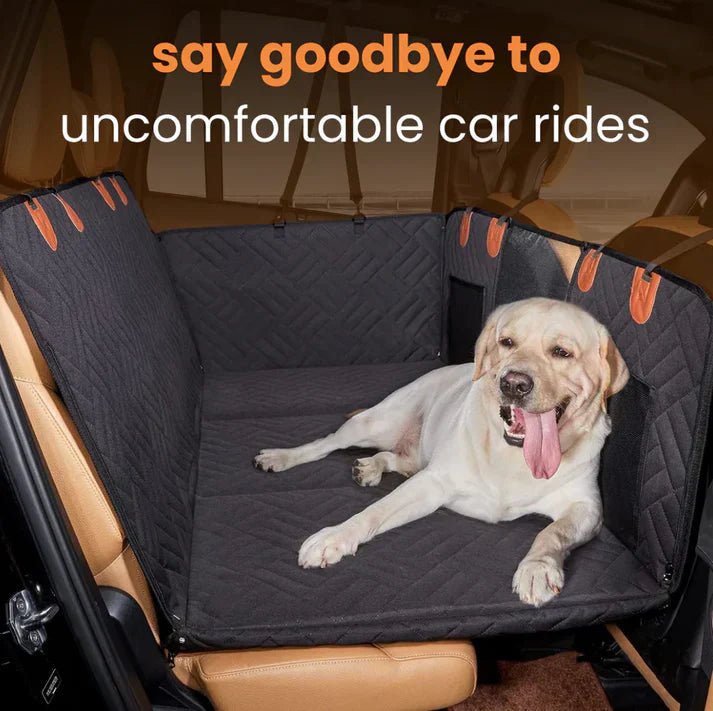 DogBench™ | Voyagez sereinement avec votre chien - Madeluxe