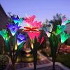 Fleur solaire - Illuminez votre jardin - Atmosphère magique - Énergie renouvelable