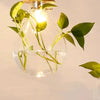 EcoSphere - Lampes en verre pour plantes - Illuminez votre intérieur - Design unique et naturel