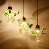 EcoSphere - Lampes en verre pour plantes - Illuminez votre intérieur - Design unique et naturel