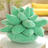 Succulent Rêve - Natural Plénitude - Plush Comfort - Fine elegance