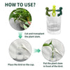PlantPal™ | Soutien solide pour vos plantes - 6 Pièces - Madeluxe