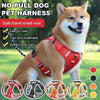 DogGrip™ | Promenez votre chien en toute sécurité - 