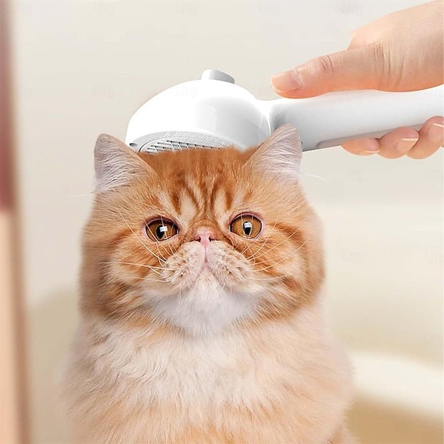 PetGlow™ | Vivez la douceur éclatante - 