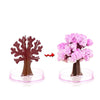Faites fleurir votre jardin - Faites pousser votre arbre à sakura ! - Madeluxe