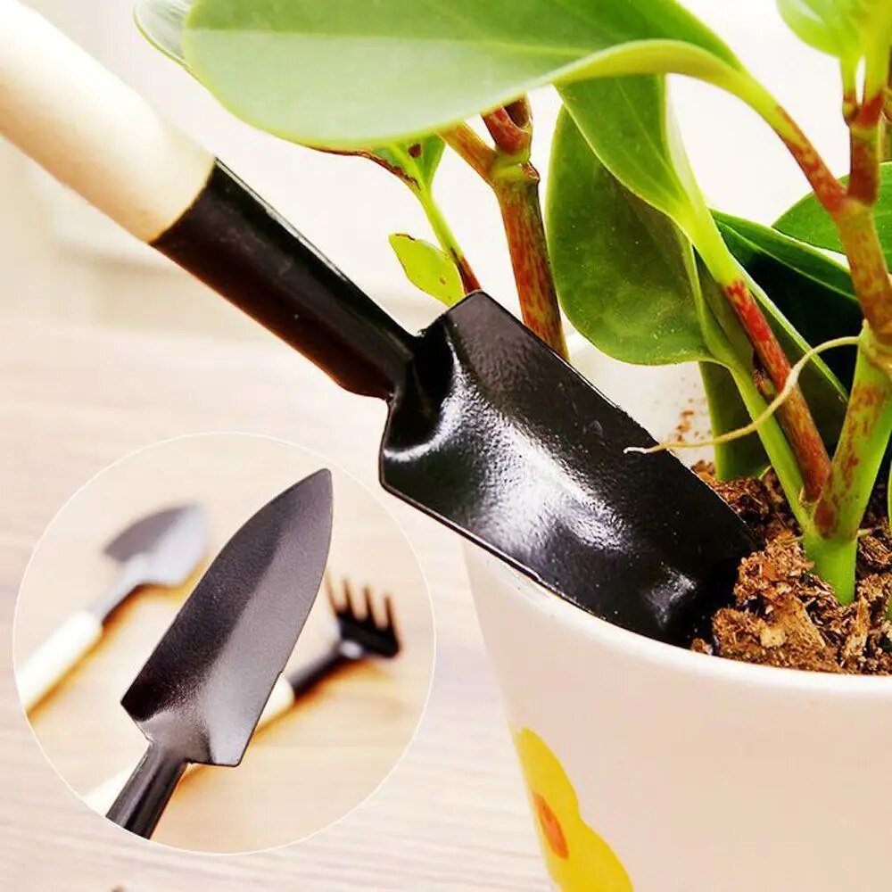 TinyTend - Outils miniatures - Soins précis - Plantes heureuses