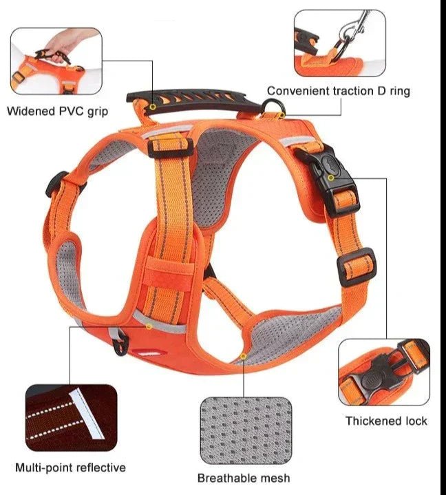 DogGrip™ | Promenez votre chien en toute sécurité - 