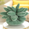 Succulent Rêve - Natural Plénitude - Plush Comfort - Fine elegance