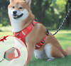 DogGrip™ | Promenez votre chien en toute sécurité - 
