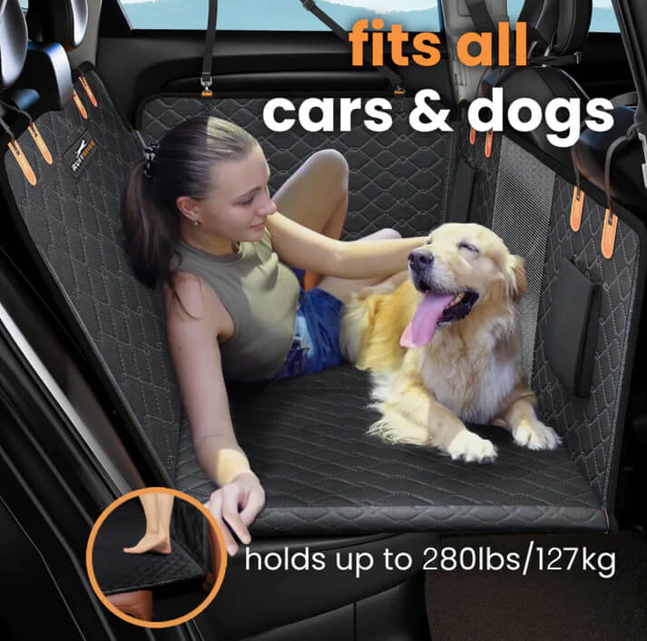 DogBench™ | Voyagez sereinement avec votre chien - Madeluxe