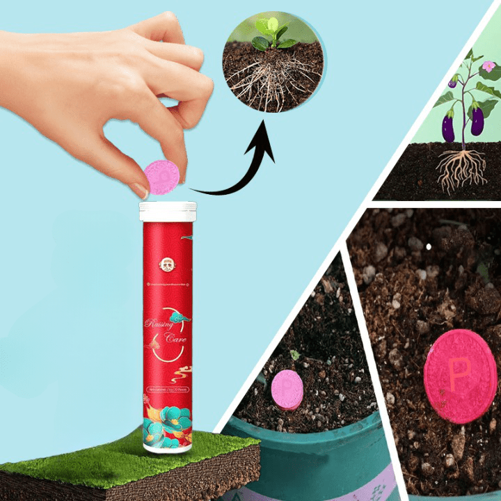 EcoRenaissance™ | Redonnez vie à vos plantes - 