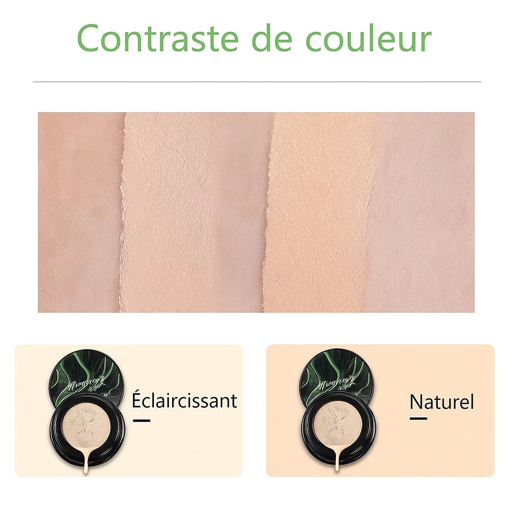 MushCush™ | Éclat et harmonie retrouvés