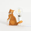 Lampe décorative pour chat - Illuminé avec charme - PurrBright